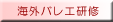 海外バレエ研修