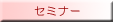 バレエセミナー